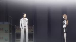 Steins;Gate: 1×6