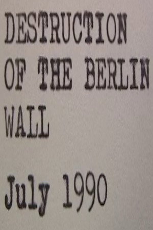 Destruction of the Berlin Wall