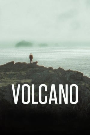 Poster Volcano 2011