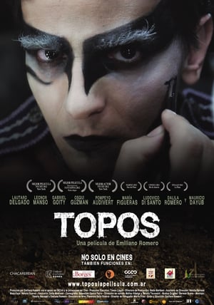 Poster Topos 2012