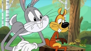 New Looney Tunes: season1 x episode9 online