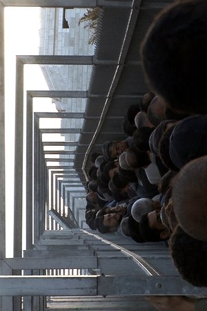 Seeds of Peace (2008)