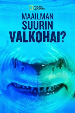 Maailman suurin valkohai?