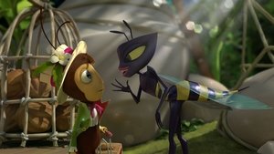 فيلم Tall Tales from the Magical Garden of Antoon Krings 2017 مترجم