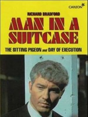 Man in a Suitcase poster