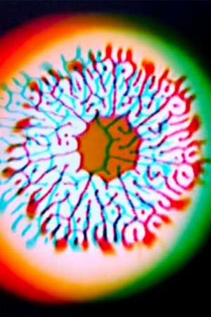 Molecular Feedback