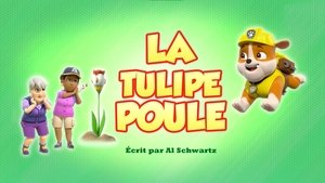 La Tulipe poule