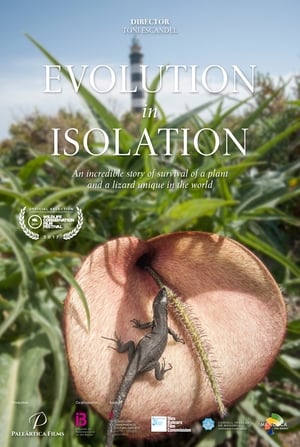 Poster Nàufrags de l'evolució (2016)