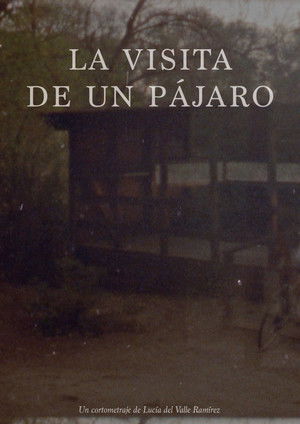 La visita de un pájaro