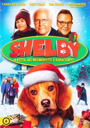 Image Shelby: A kutya, aki megmentette a karácsonyt