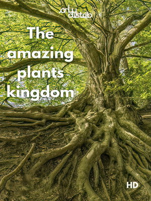 L'incroyable Royaume des Plantes