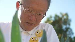 NHK WORLD PRIME: 6×6