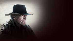 Cry Macho Review: Is a Strictly Average Clint Eastwood Film