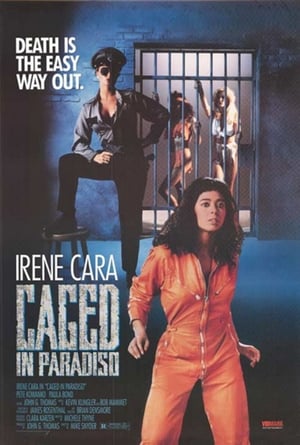 Poster Börtönsziget 1989