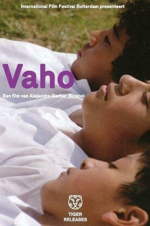 Vaho 2010