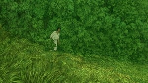 The Red Turtle (2016)