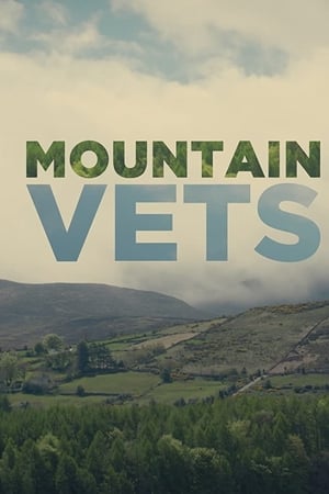 Poster Mountain Vets 2019