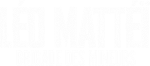 Leo Mattei, Brigada de protección — Logos 1