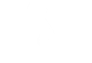 Basique, le concert — Logos 1
