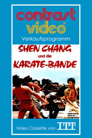 Image Shen Chang und die Karate-Bande