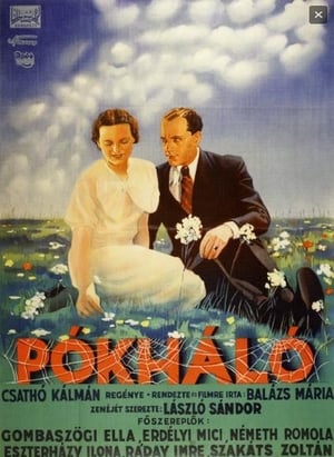 Poster Cobweb (1936)