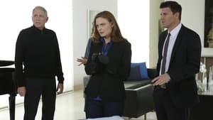 Bones Season 9 Episode 15