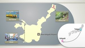 Journeys in Japan: 11×12