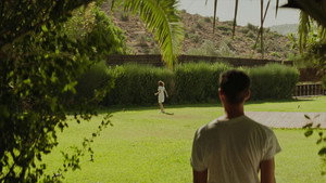 Dogtooth 55