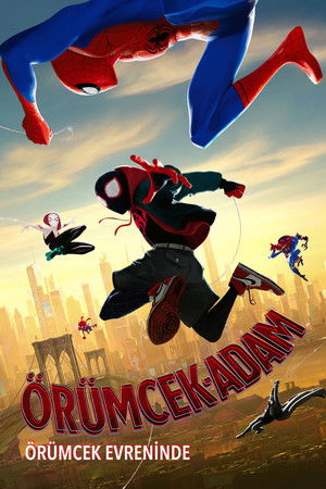 poster Spider-Man: Into the Spider-Verse