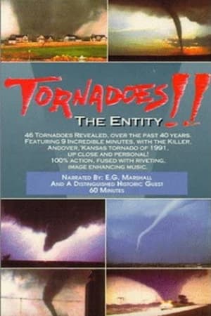 Poster Tornadoes: The Entity (1993)