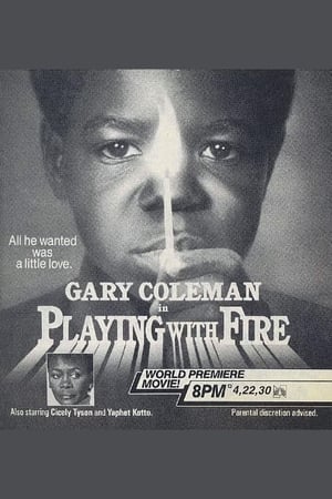 Playing with Fire poster