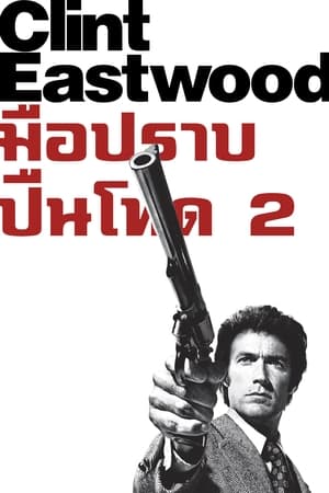 มือปราบ ปืนโหด 2 (1973)