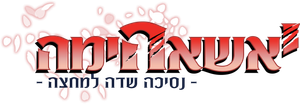 Yashahime: Princess Half-Demon — Logos 2