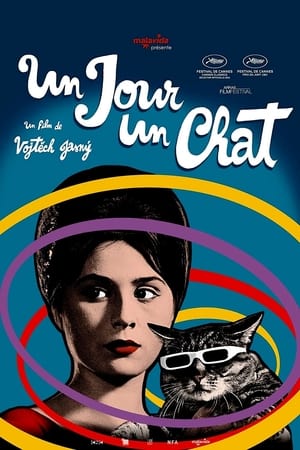 Image Un jour, un chat…