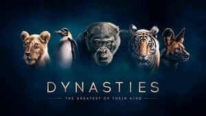 poster Dynasties