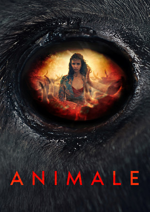 Animale 17