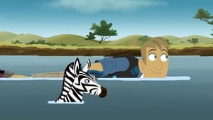 Wild Kratts Zig-Zagged