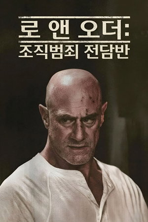 시즌 5