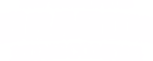 How to Train Your Dragon: Homecoming