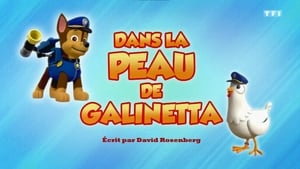 Paw Patrol Helfer auf vier Pfoten: 6×29