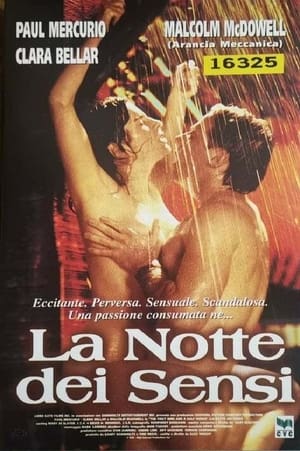 La notte dei sensi