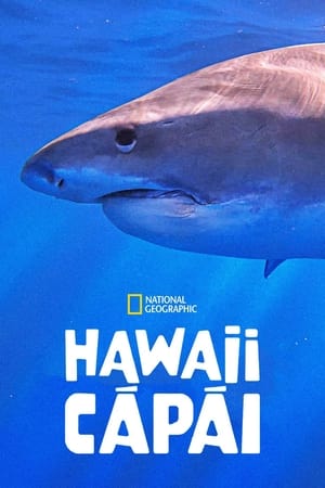 Image Hawaii cápái