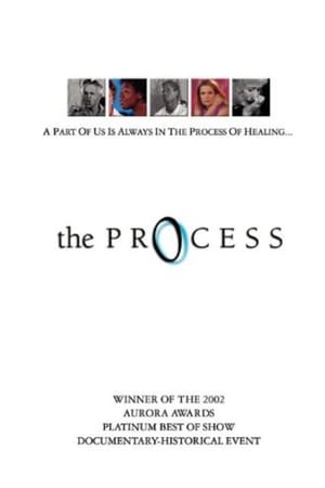 The Process poster