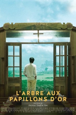 Inside the Yellow Cocoon Shell 