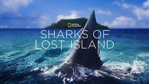 Sharks of Lost Island