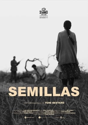 Image Semillas