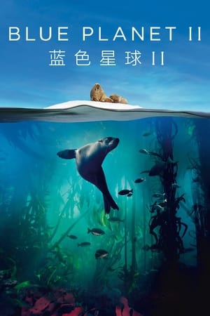 Poster 蓝色星球2 蓝色星球2 深蓝海洋 2017