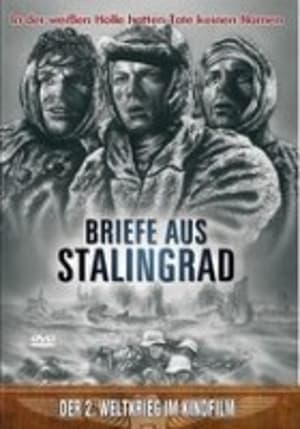 Image Lettres de Stalingrad