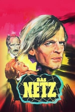 Poster The Net 1975