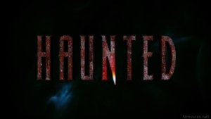 Haunted 3D (2011) Hindi